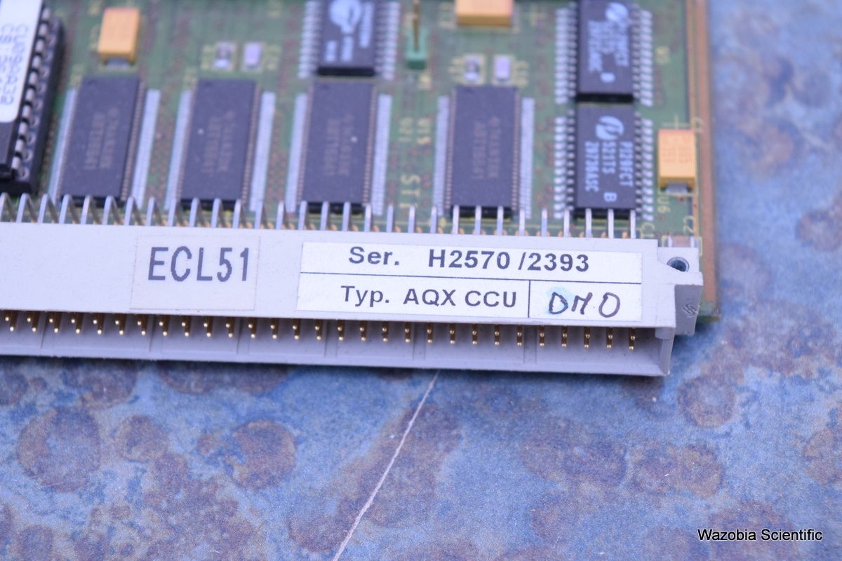 DSC_4481_9evcqBaEXDoigoNaEtEVcE