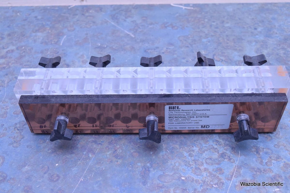 DSC_4873_gDDr7xmJtRJaWbwJg5nAYs