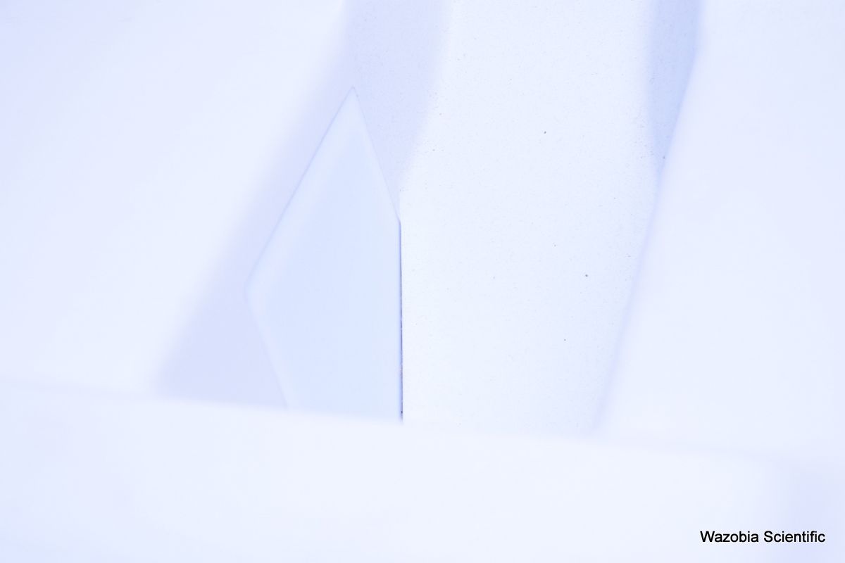 DSC_7033