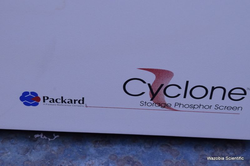 DSC_8955(3)