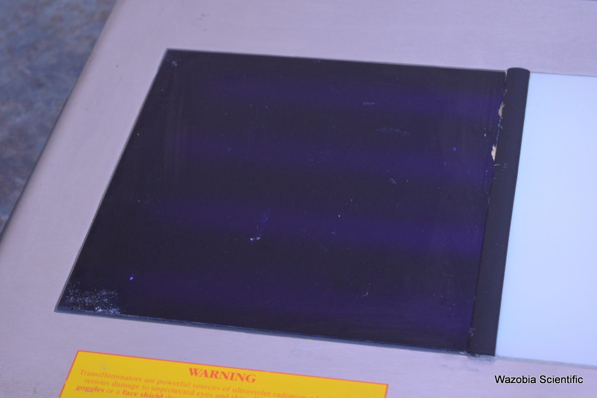 DSC_9944(4)