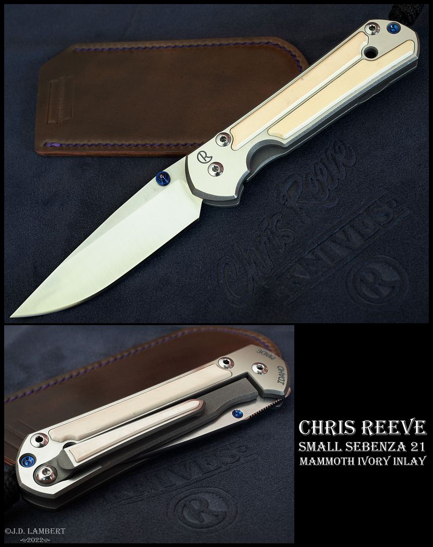Chris_Reeve_Sebenza_21_Mammoth_09OCT2022_2048_Pixel_10.jpg