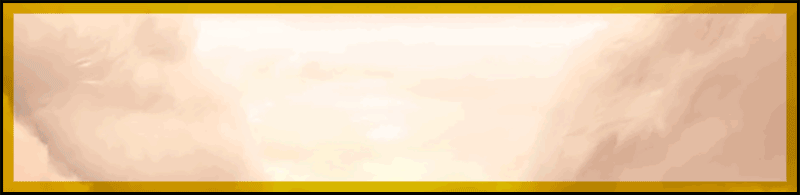 GaenSigGif.gif