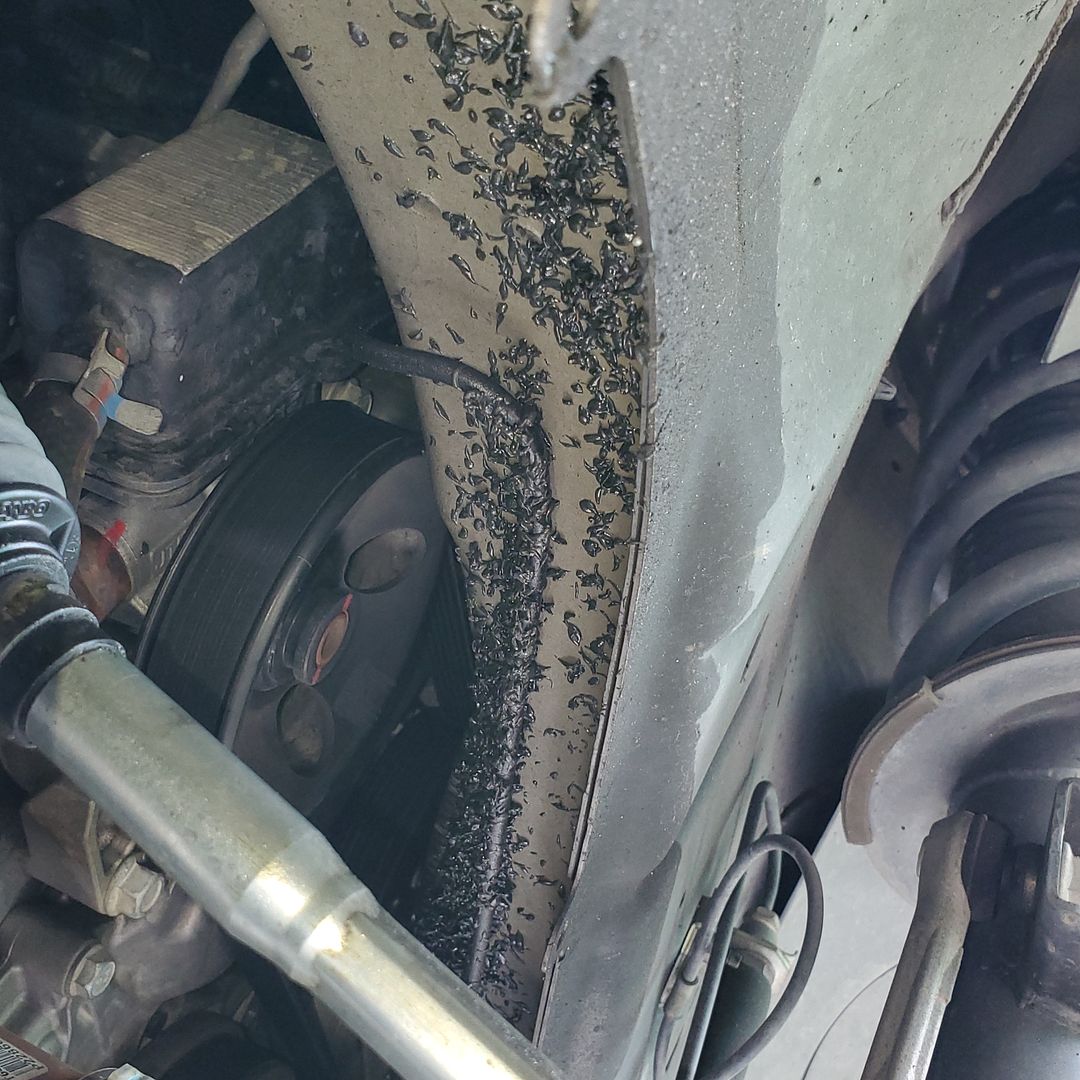 2015 2.4L Terrain grease/oil residue in front of serpentine belt? GMC