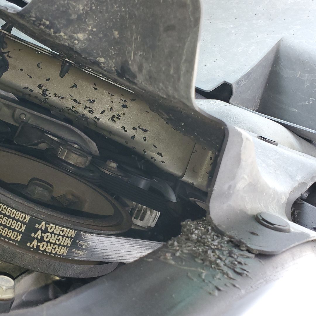 2015 2.4L Terrain grease/oil residue in front of serpentine belt? GMC