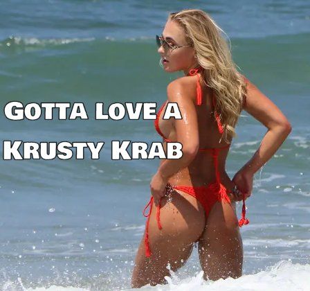 gotta love a krusty krab