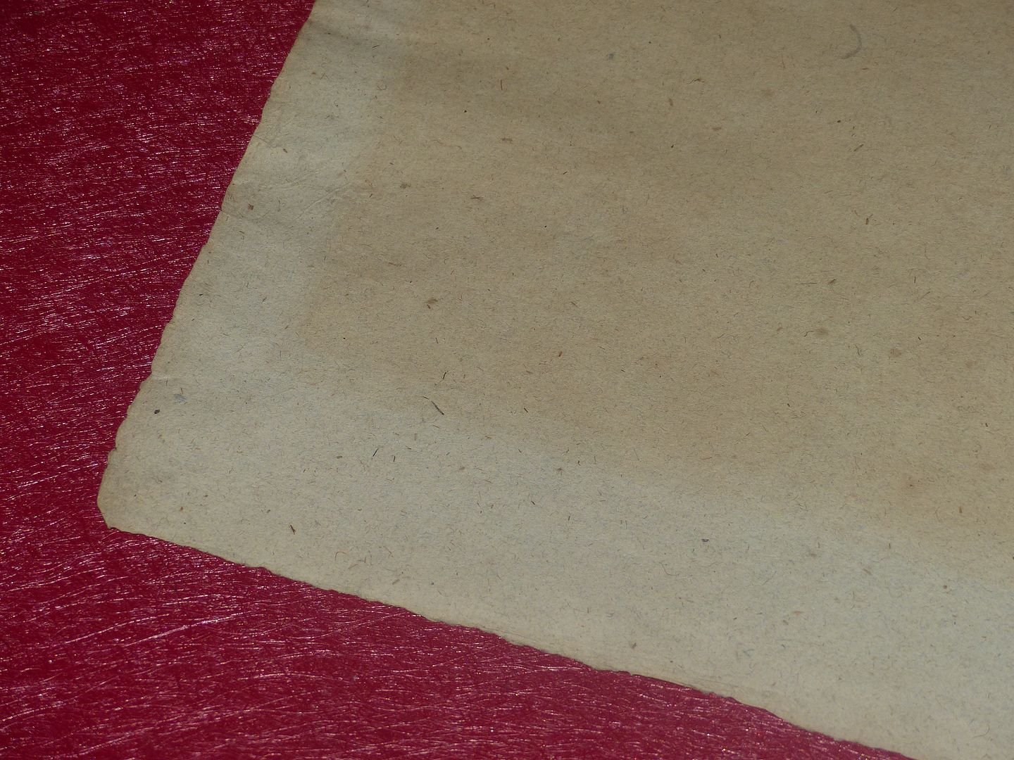 P2600503
