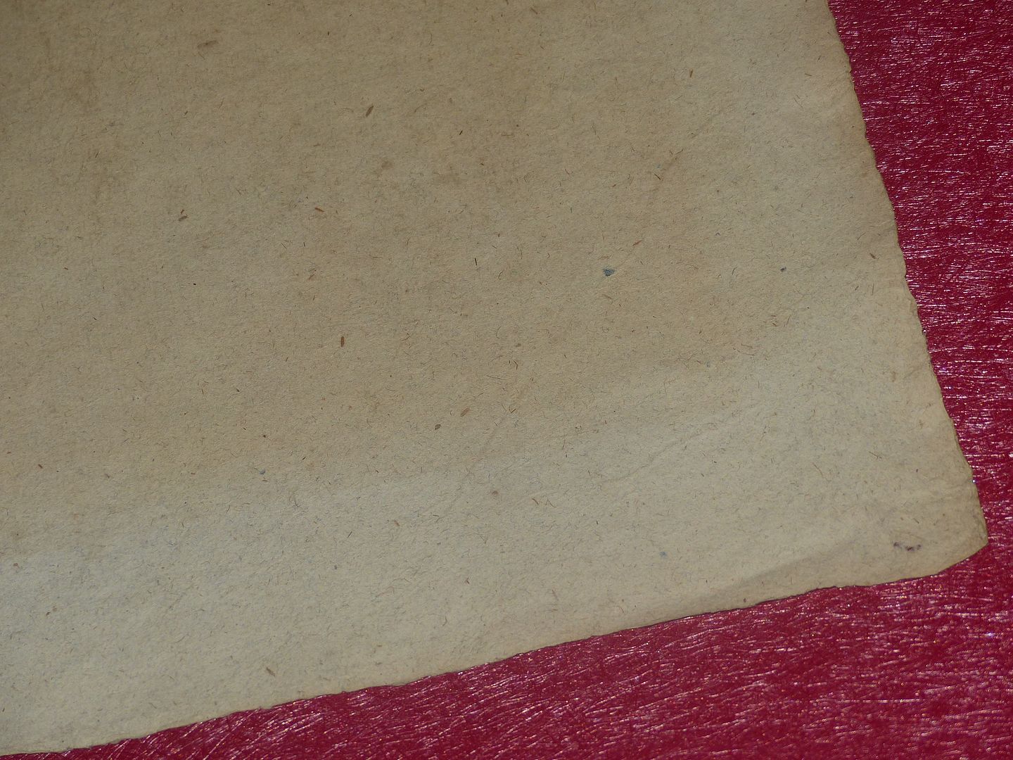 P2600504